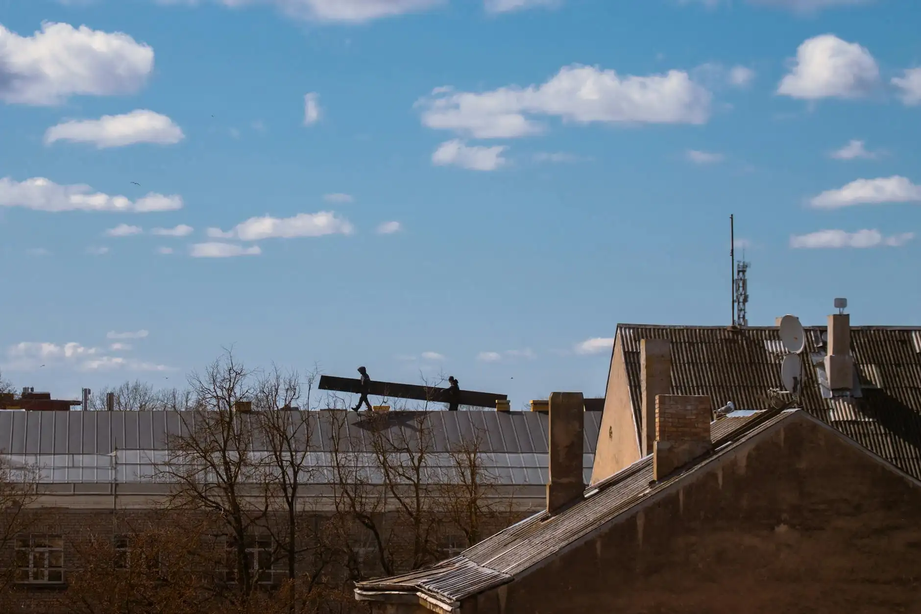 Daniel Martínez Portfolio 6